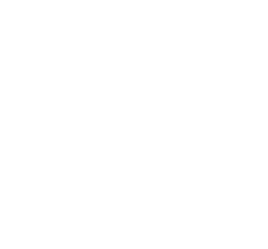 Momentus ONE